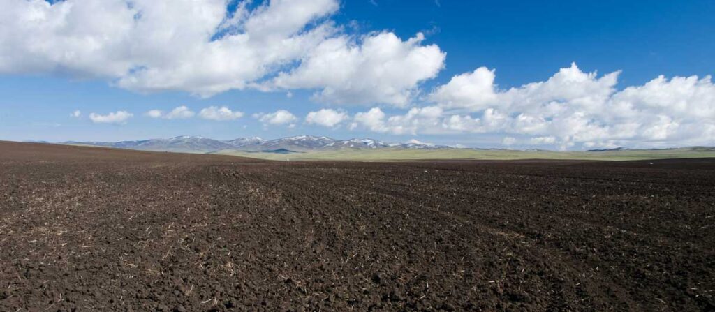 fresh compost on farm field