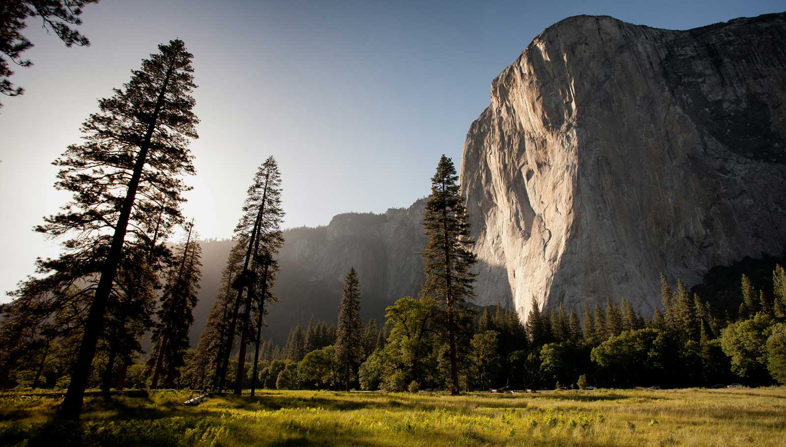 nature-image-adam-kool-ndN00KmbJ1c-unsplash